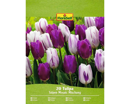Bulbi De Lalele Floraself Mozaic Mix 11/12 20 Buc