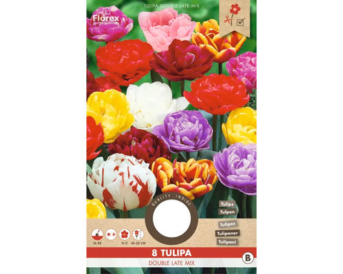 Bulbi De Lalele Mix Duble Late Selected 11/12 8 Buc