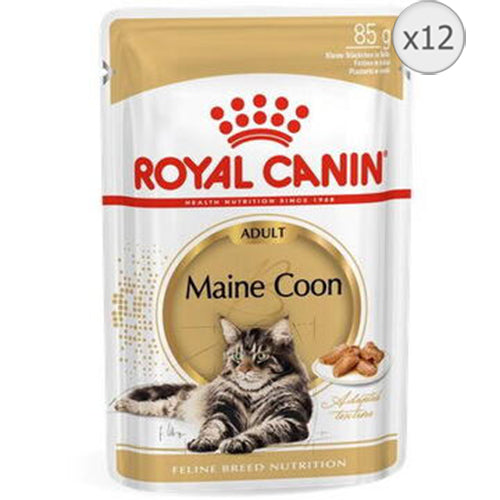 Royal Canin Maine Coon Adult hrana umeda pisica (in sos), 12 x 85 g