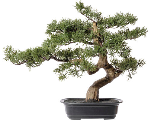 Planta Artificiala Bonsai Zada In Ghiveci H 40 Cm Verde