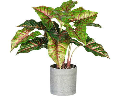 Planta Artificiala Colocasia Esculenta In Ghiveci H 40 Cm Verde