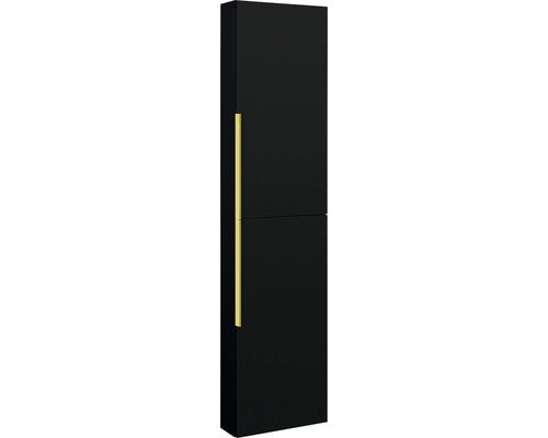 Dulap Baie Inalt Suspendat, 2 Usi, Pal, 41,6x170 Cm, Negru Mat