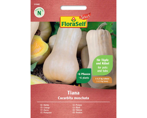 Seminte Legume Floraself Select Dovleac Tiana F1