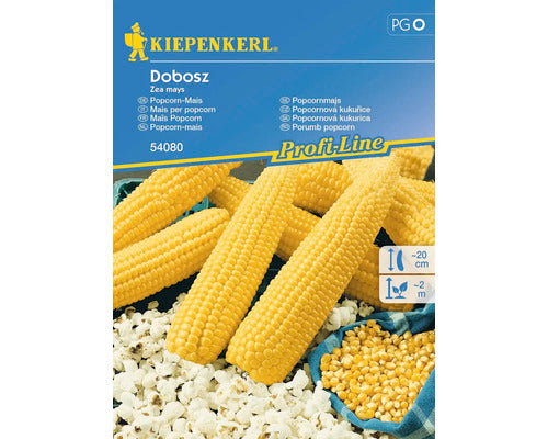 Seminte Legume Kiepenkerl Porumb Pentru Popcorn Dobosz F1