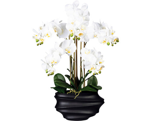Planta Artificiala Orhidee Fluture Phalaenopsis In Vas 5 Ramuri H 75 Cm Alb