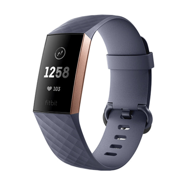 Bratara de Activitate Fitbit Charge 3 SE OLED Bluetooth 4.0 GPS NFC Gri
