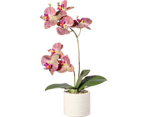 Planta Artificiala Orhidee Fluture Phalaenopsis In Vas H 45 Cm Roz