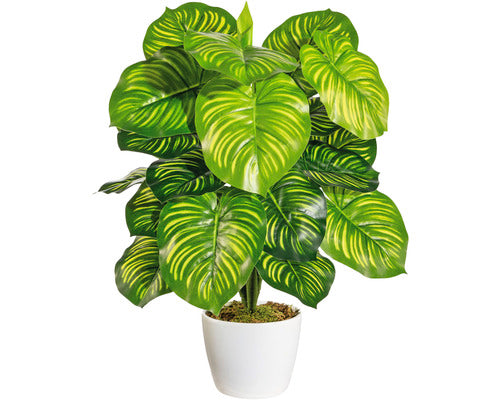 Planta Artificiala Maranta In Ghiveci H 50 Cm Verde