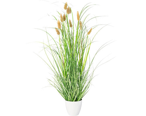 Planta Artificiala Lagurus In Ghiveci H 60 Cm Verde