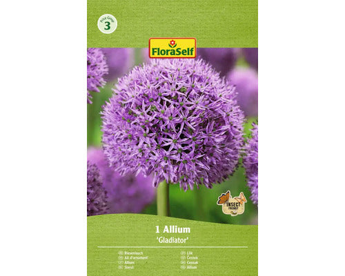 Bulb De Flori Floraself Allium Gladiator 18/20 1 Buc