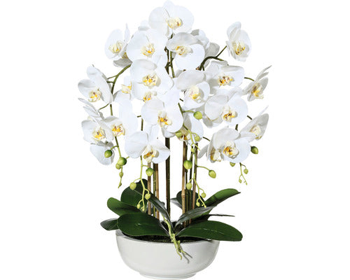 Planta Artificiala Orhidee Fluture Phalaenopsis In Ghiveci H 66 Cm Alb