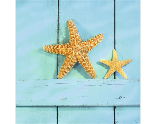 Tablou Sticla Stea De Mare 30x30 Cm