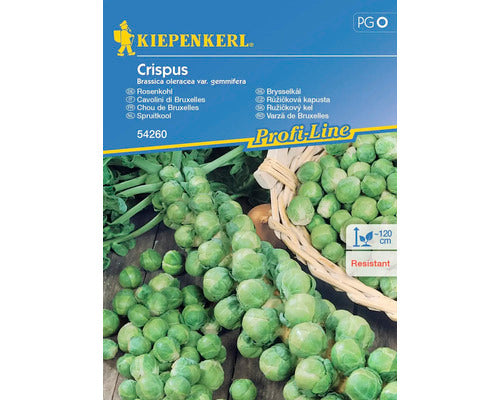 Seminte Legume Kiepenkerl Varza De Bruxelles Crispus F1
