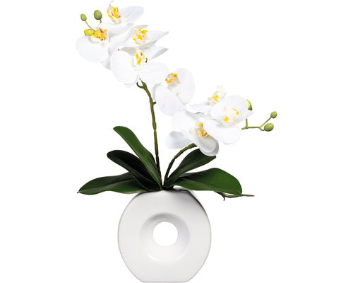 Planta Artificiala Orhidee Fluture Phalaenopsis In Vas Ceramic H 35 Cm Alb