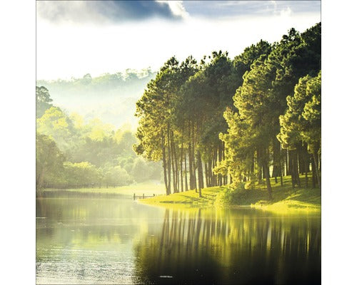 Tablou Sticla Forest Atmosphere Iii 30x30 Cm