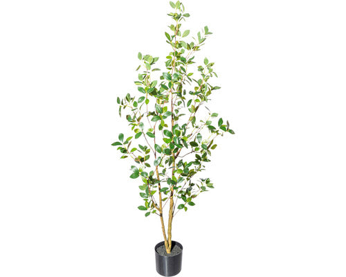 Planta Artificiala Ficus Ginseng H 130 Cm Verde