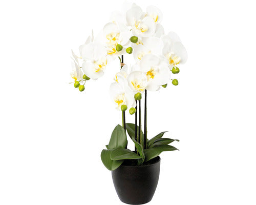 Planta Artificiala Orhidee Fluture Phalaenopsis In Vas Ceramic H 55 Cm Alb