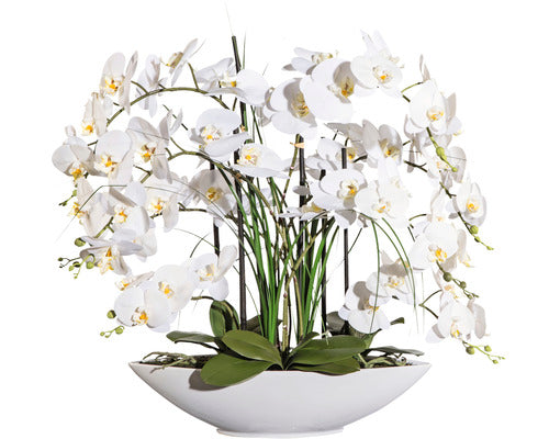 Planta Artificiala Orhidee Fluture Phalaenopsis In Vas 8 Ramuri H 70 Cm Alb