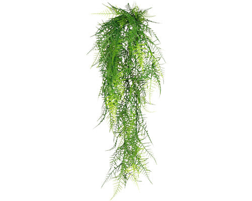Planta Artificiala Feriga Asparagus Setaceus H 80 Cm Verde