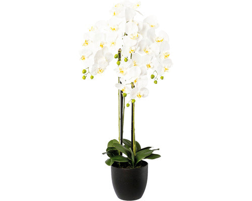 Planta Artificiala Orhidee Fluture Phalaenopsis In Vas Ceramic H 99 Cm Alb