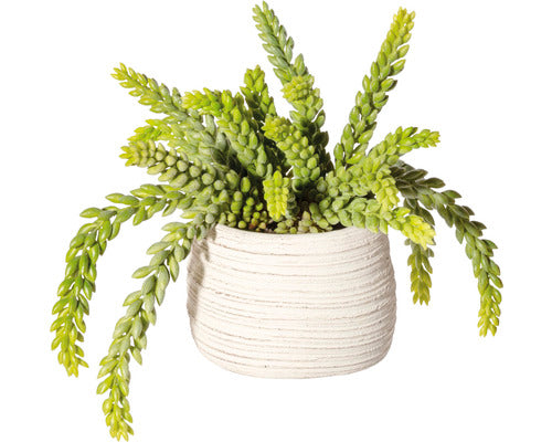 Planta Artificiala Sedum In Ghiveci H 25 Cm Verde
