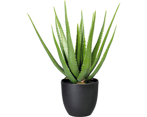 Planta Artificiala Aloe Vera In Ghiveci H 55 Cm Verde