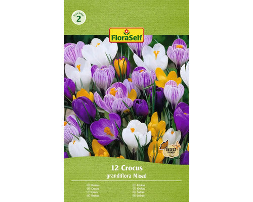 Bulbi De Flori Floraself Branduse Grandiflora Mix 7/8 12 Buc