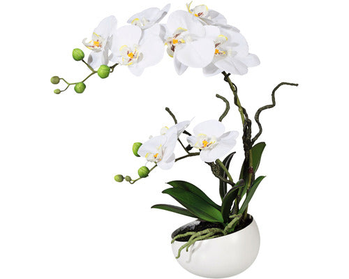 Planta Artificiala Orhidee Fluture Phalaenopsis In Vas H 42 Cm Alb