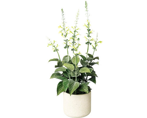 Planta Artificiala Salvie In Ghiveci H 45 Cm Alb