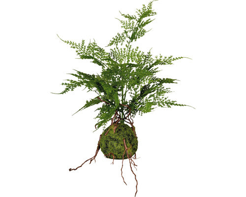 Planta Artificiala Feriga Asparagus Setaceus H 40 Cm Verde