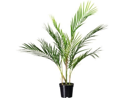 Palmier Artificial Howea Kentia H 70 Cm Verde