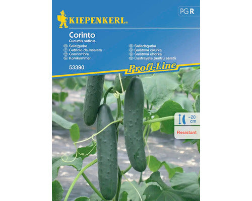 Seminte Legume Kiepenkerl Castraveti De Salata Corinto F1