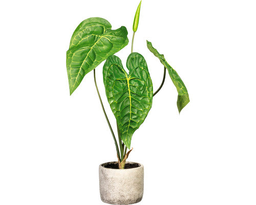 Planta Artificiala Anthurium In Ghiveci H 60 Cm Verde