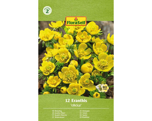 Bulbi De Flori Floraself Anemona Eranthis Cilicica 3, 5/4 12 Buc