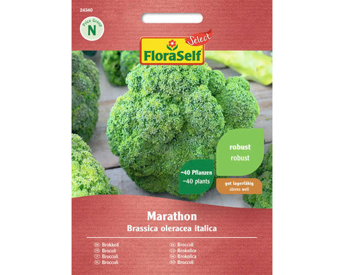 Seminte Legume Floraself Select Broccoli Marathon F1