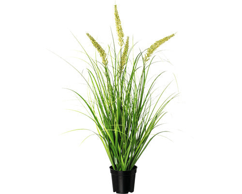 Planta Artificiala Iarba Decorativa Pennisetum In Ghiveci H 71 Cm Verde