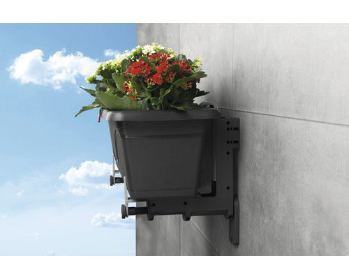 Set Suport Lafiora Verso Wall, Negru