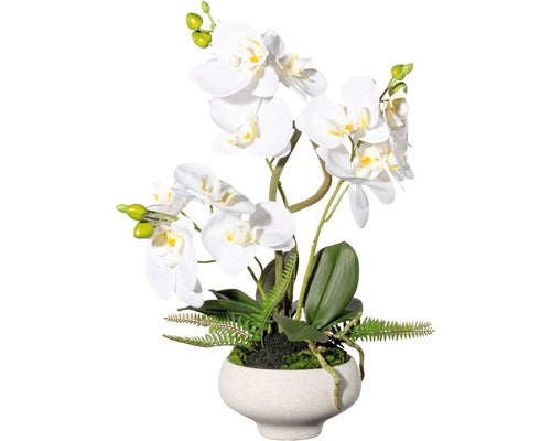 Planta Artificiala Orhidee Fluture Phalaenopsis In Vas H 50 Cm