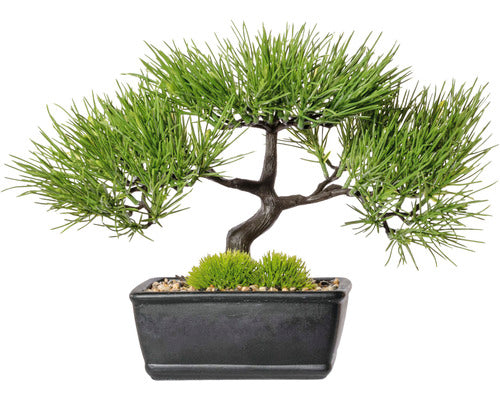 Planta Artificiala Bonsai Kiefer In Ghiveci H 30 Cm Verde