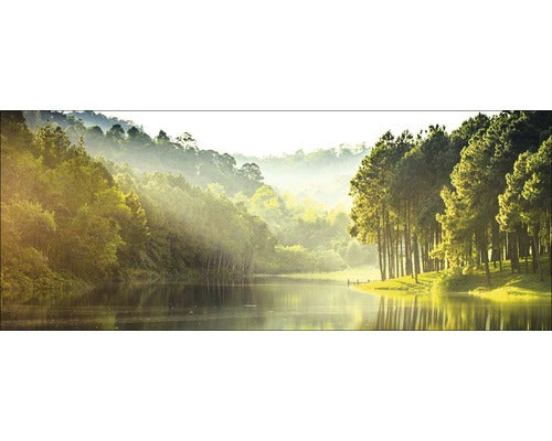 Tablou Sticla Forest Atmosphere I 50x125 Cm