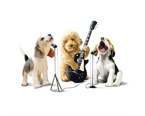 Tablou Canvas Puppy Stars 60x60 Cm