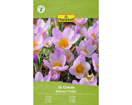 Bulbi De Flori Floraself Branduse Firefly 5/7 15 Buc