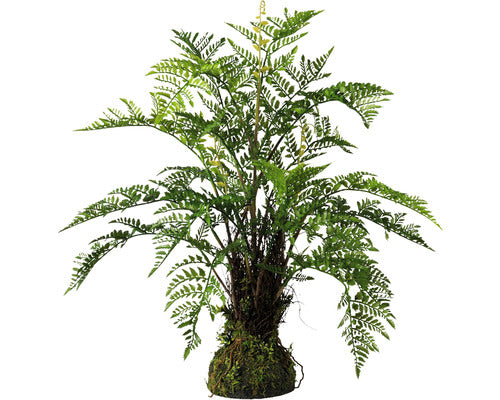 Planta Artificiala Feriga Pe Muschi H 70 Cm Verde