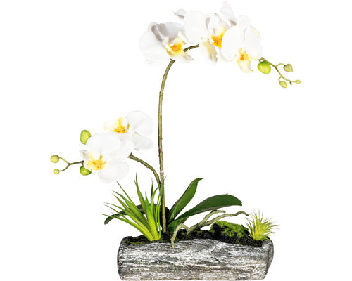 Aranjament Artificial Orhidee Phalaenopsis In Vas H 40 Cm Crem
