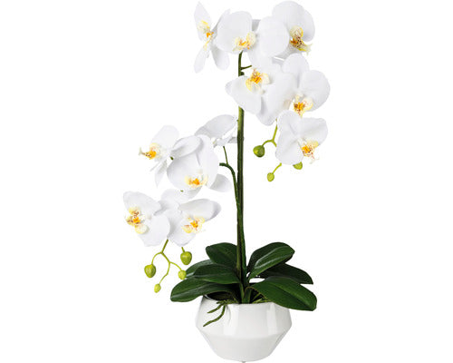 Planta Artificiala Orhidee Fluture Phalaenopsis In Ghiveci H 52 Cm Alb