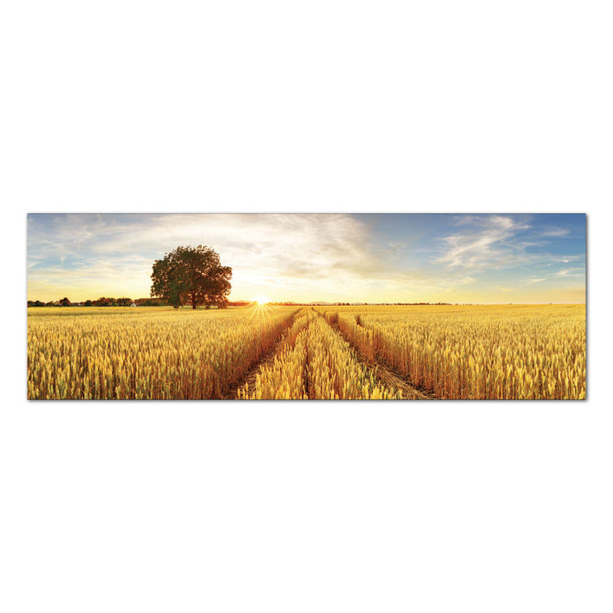 Tablou canvas 150x50cm - Wheat Fields