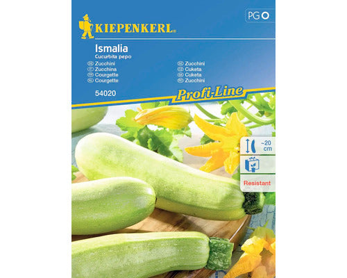 Seminte Legume Kiepenkerl Dovlecei Ismalia F1