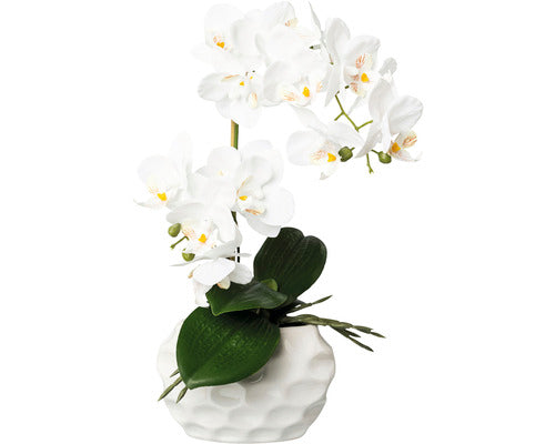 Planta Artificiala Orhidee Fluture Phalaenopsis In Ghiveci H 33 Cm Alb