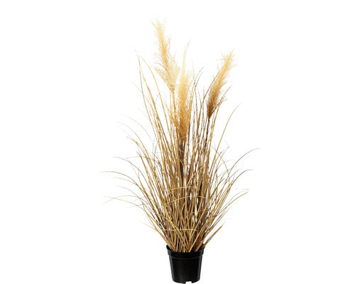 Planta Artificiala Iarba Pampas In Ghiveci H 76 Cm Maro