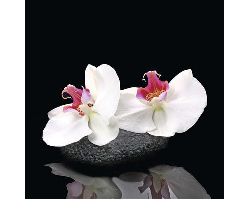 Tablou Sticla White Orchid V 20x20 Cm